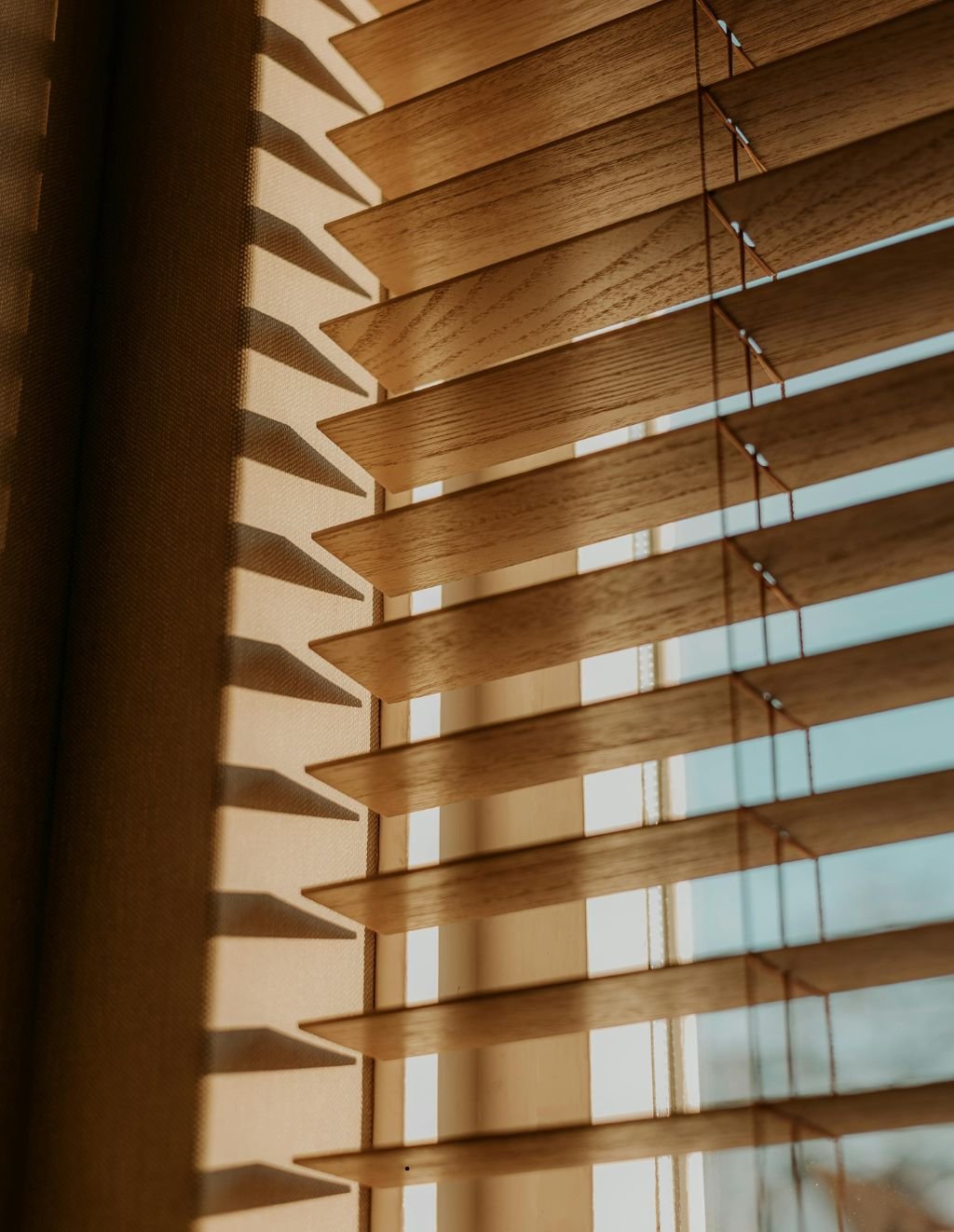 Day & Night Blinds